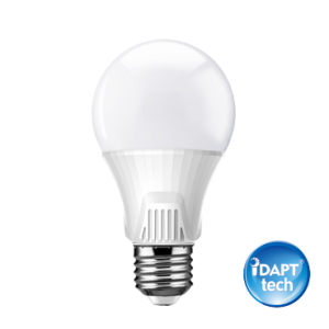 Lamp Product (Copy) (Copy)